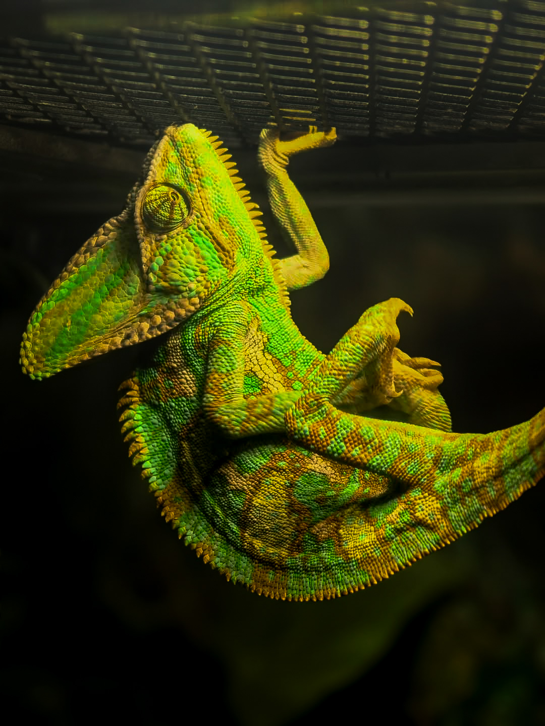 FB_IMG_1747429867887 (1)