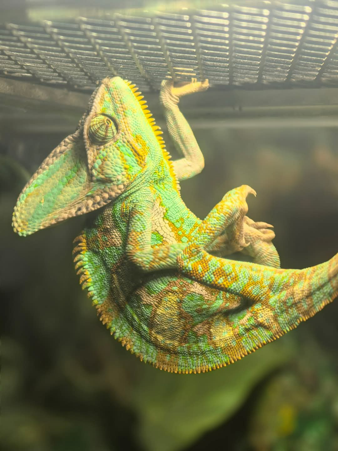 FB_IMG_1747429867887 (2)